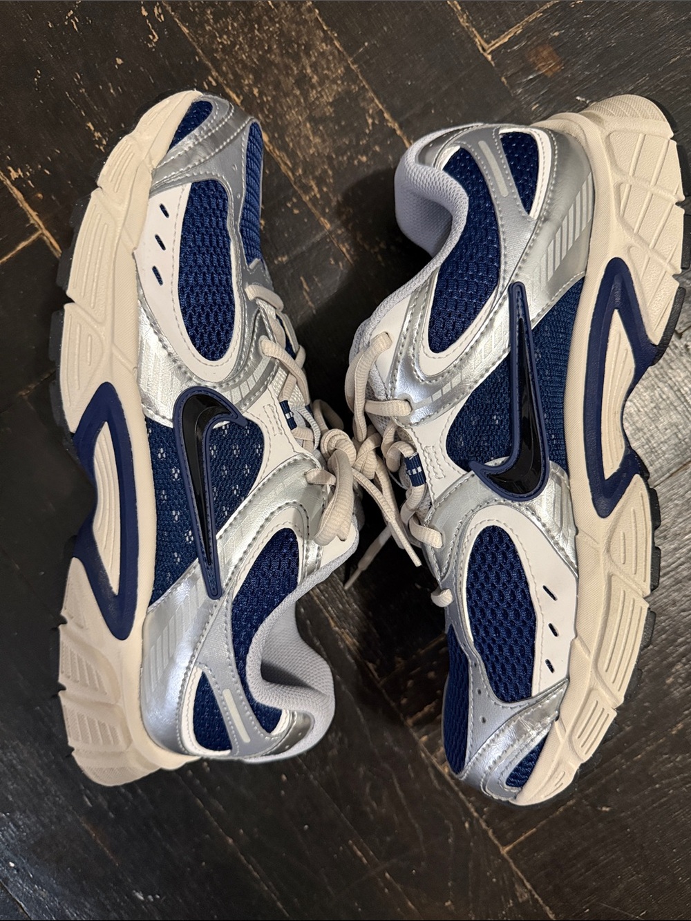 Nike Mens Navy and Silver Running Sneakers